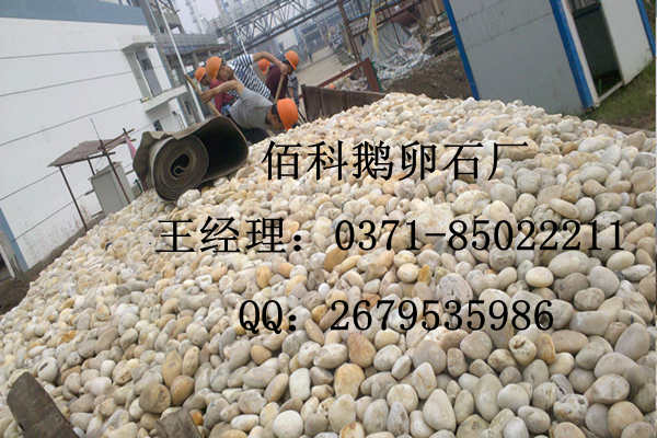 天然鵝卵石（純白色、純黑色）廠家