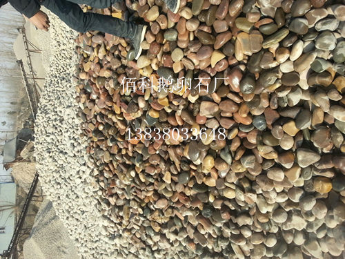 近段鵝卵石價格怎樣？