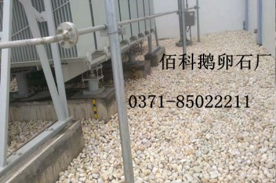 電力公司、電廠變壓器專用鵝卵石價(jià)格是多少錢一噸？